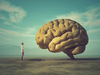 cpu执行一条指令所需要的时间称为什么？